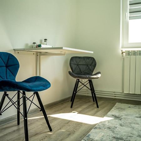 Petrila Studio Lupul מראה חיצוני תמונה